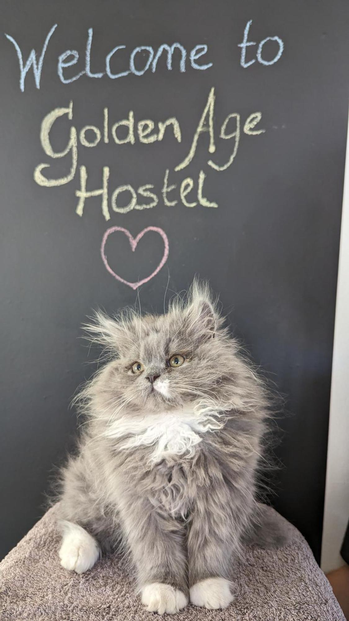 Golden Age Hostel Охрид Екстер'єр фото